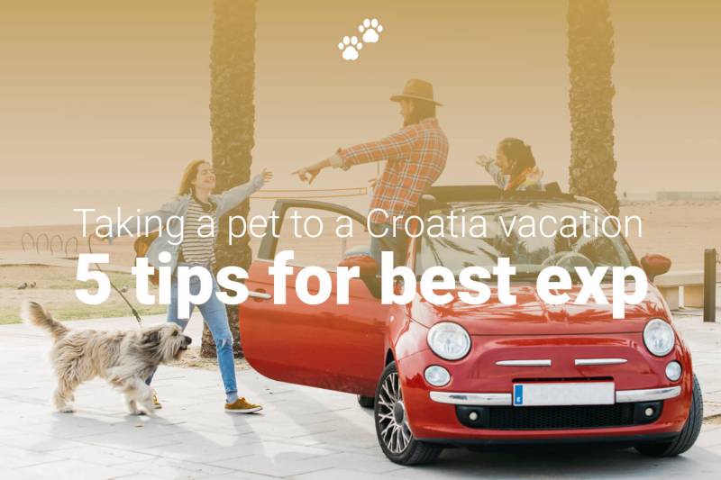 Taking a pet to a Croatia vacation? Read this!